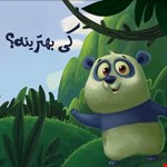 کی بهترینه؟